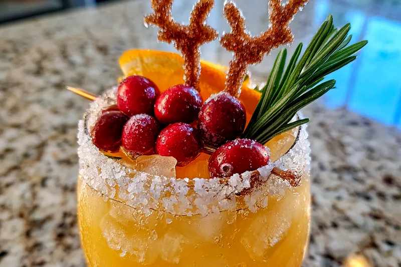 Ingredients for Festive Holiday Cocktail displayed beautifully with cranberries and orange slices.